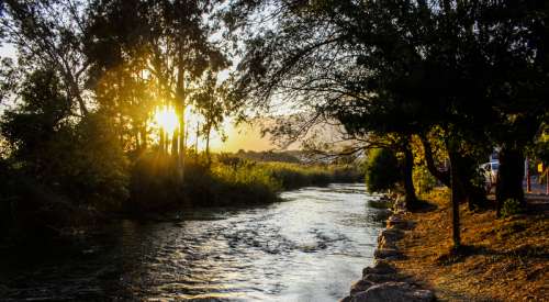 Sunset behind trees in the river landscape free photo