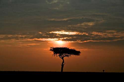 Sunset over the Plains landscape in Kenya free photo