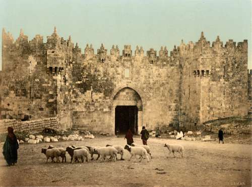The Damascus Gate around 1900 in Jerusalem, Israel free photo