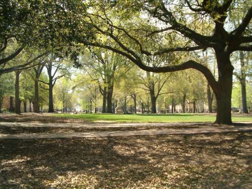 The horseshoe at the University of South Carolina in Columbia free photo