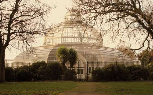 The Palm House In Sefton Park Liverpool, England free photo