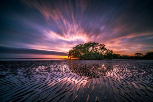 Time-Lapse landscape at dusk with water, sand, and tree free photo