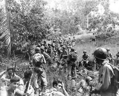 US Marines during the Guadalcanal Campaign in World War II free photo