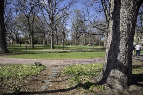 View of the main quad area at UNC Chapel Hill, North Carolina free photo