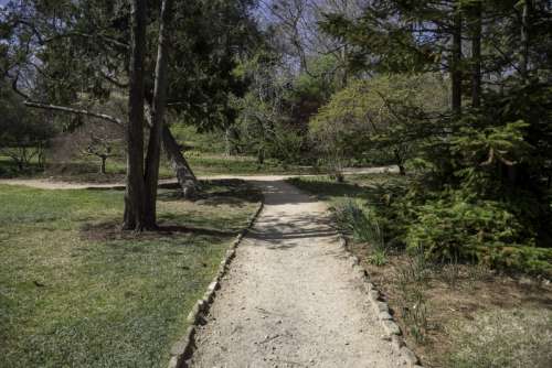 Walkway in the Gardens of UNC Chapel Hill, North Carolina free photo