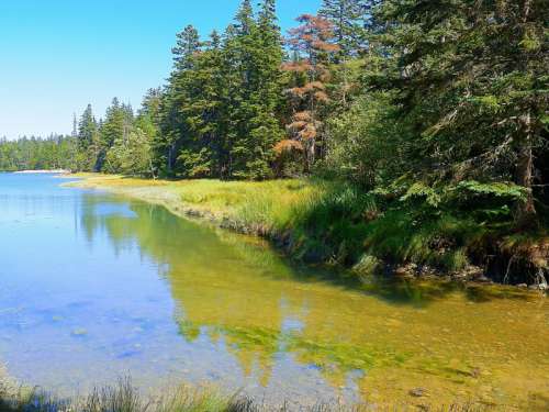 Water and shoreline at Acadia National Park, Maine free photo