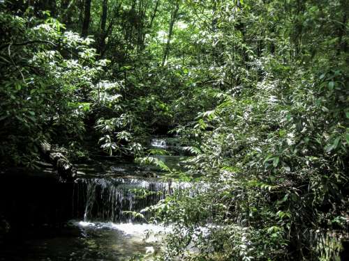 Waterfall on Carrick Creek Nature Trail, in Table Rock State Park in South Carolina free photo