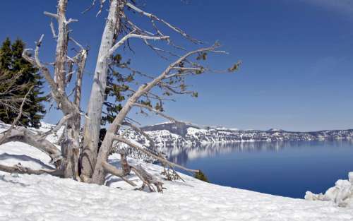 Winter Scenery at Crater Lake National Park, Oregon free photo