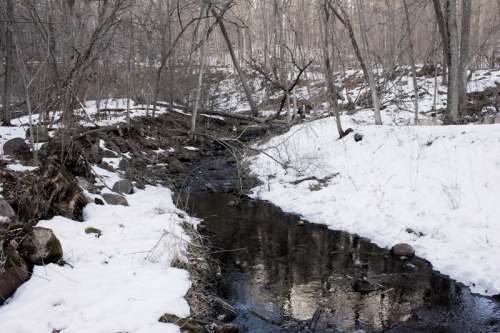 Landscape of the Creek through Parfrey's Glen in Wisconsin, Free stock photo free photo