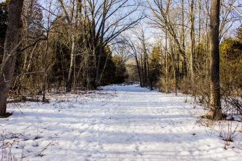 Landscape Photo of a snowy trail at Parfrey's Glen, Wisconsin free stock photo free photo