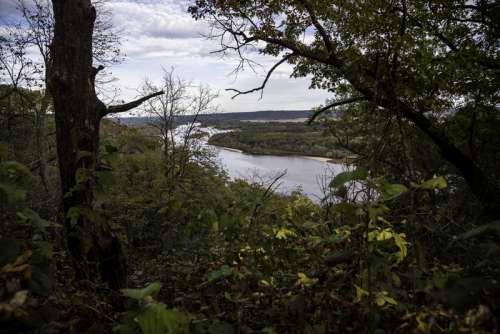 Wisconsin River landscape through the trees at Ferry Bluff free photo