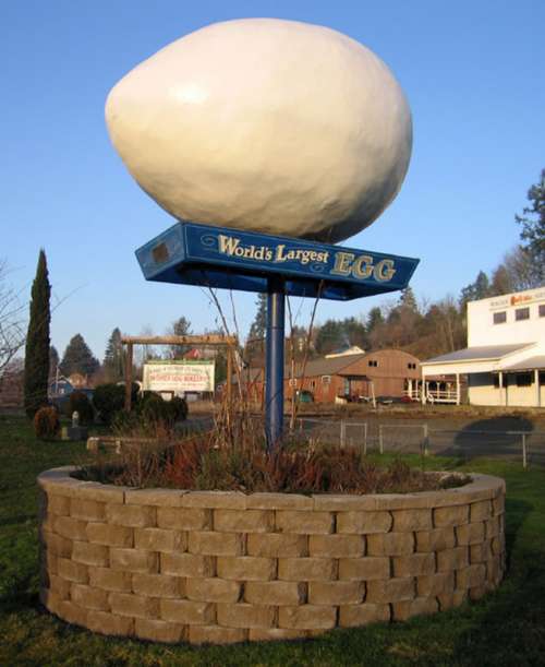 World's Largest Egg in Winlock, Washington free photo