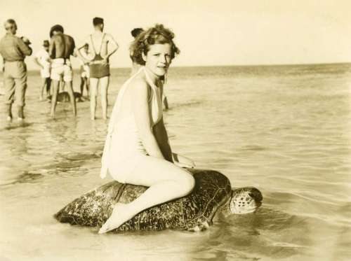 Young woman riding on the back of a turtle at Mon Repos Beach in Bundaberg, Queensland, Australia free photo