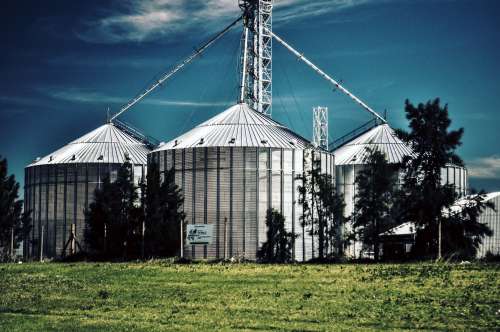 Silos in a field. Storage of agricultural production free image