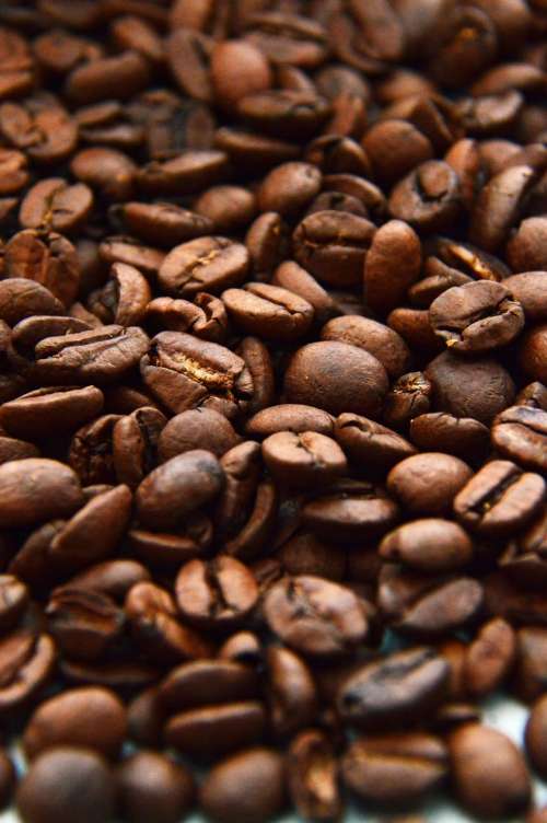Coffee Beans in Detail