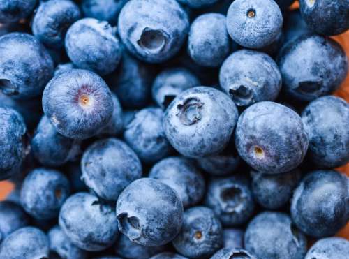 Blueberries close up