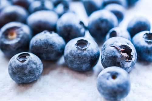 Blueberries detail
