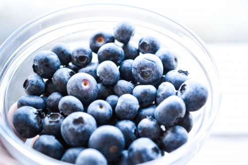 Blueberries in bowl close up