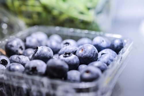 Blueberries in plastic box