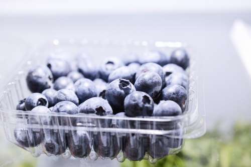 Blueberries in plastic box in fridge
