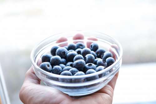 Bowl with blueberries in hand