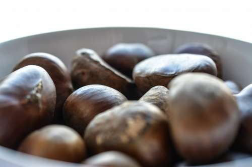 Chestnuts close up