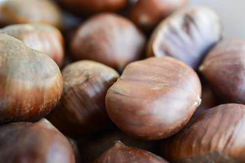 Chestnuts detail