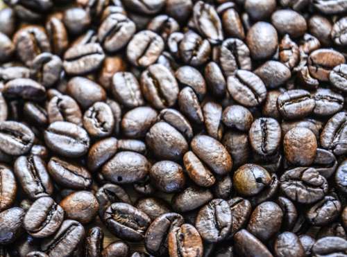 coffee beans detail