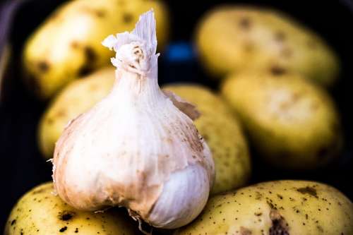 Garlic on potatoes close up