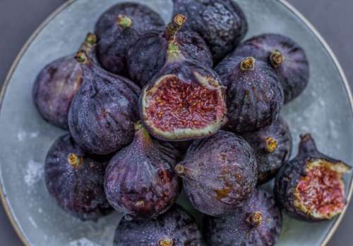 Figs