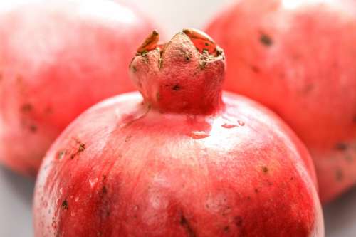 Pomegranate close up