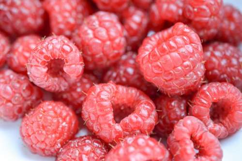 Raspberries close up