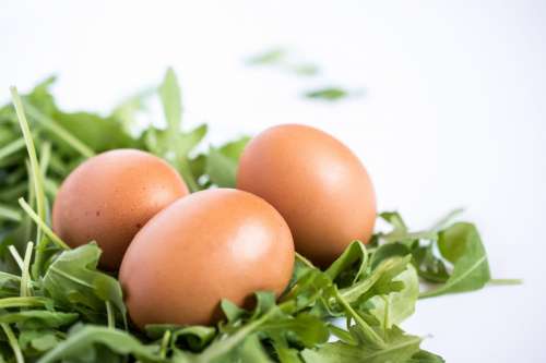 Three eggs with rucola at the bottom