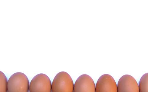 Eggs in a row