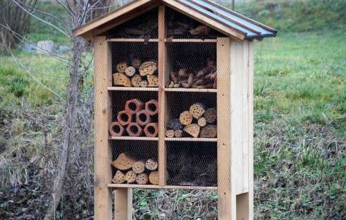 A House For Insects Insect Shelter Beetles Wooden
