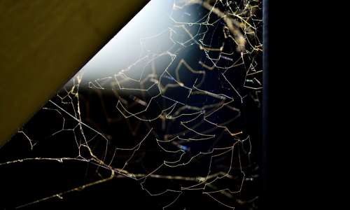 A Spider'S Web Light Corner