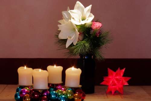 Advent Wreath Christmas Amaryllis White Flowers