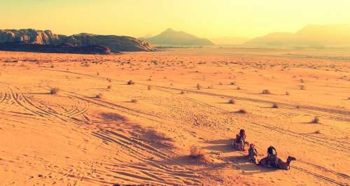 Africa Camels Desert Landscape Nature Sand Warm
