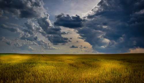 Agriculture Wheat Field Clouds Summer Cloudscape