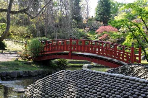 Albert Kahn Garden Japanese Garden