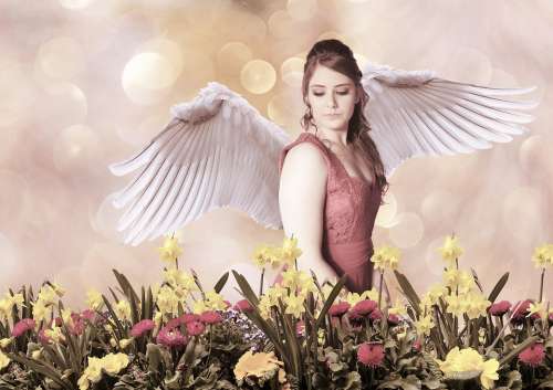 Angel Wings Girl Woman Angelic Female Fantasy