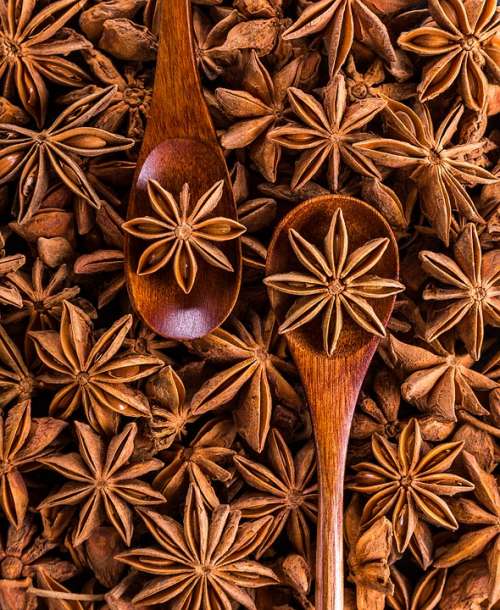 Anise Spices Seeds Sprockets Aroma Seasoning Food