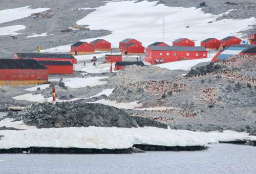 Antarctica Research Station Penguins Cold Ice