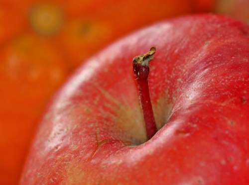Apple Fruit Fruits Vitamins Food Healthy Eat