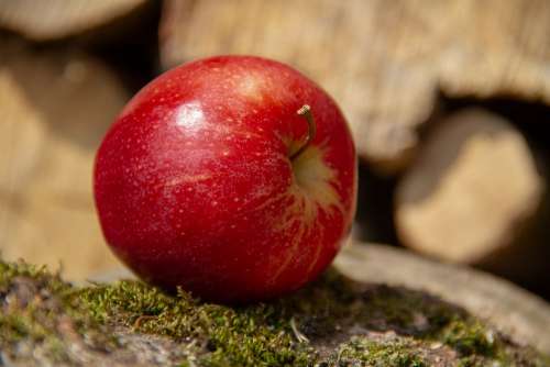 Apple Fruit Red Food Healthy