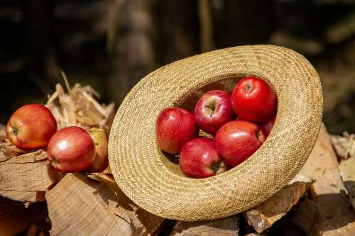 Apple Fruit Food Vitamins Red Hat Straw Hat