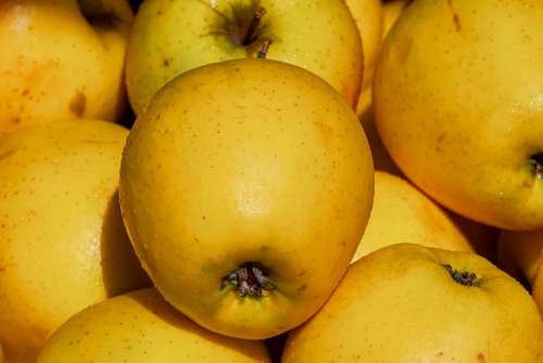 Apple Golden Delicious Fruit Vitamins Tasty Fresh