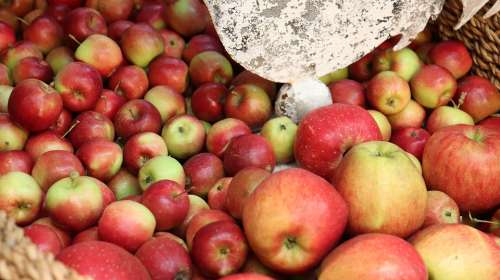 Apple Asia Fruits Korea Apple Fruits Apple Farm