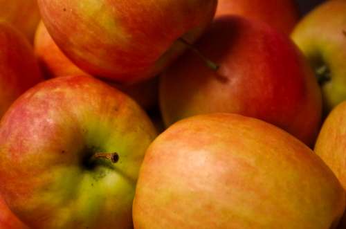 Apple Healthy Fruit Vitamins Harvest Ripe Orchard
