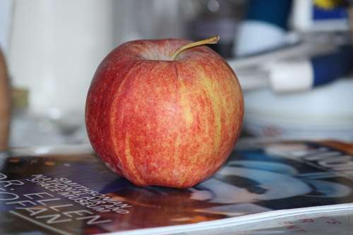 Apple Fruit Red Apple Apple On A Book Agriculture